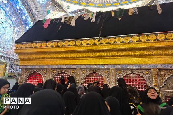 از مسیر عشق تا حرم؛روایت تصویری اربعین و نقش آفرینی نسل نوجوان