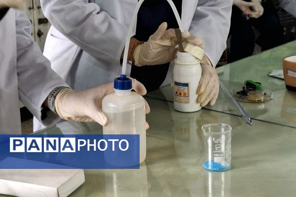 داوری مرحله استانی محور فعالیت های آزمایشگاهی جشنواره نوجوان خوارزمی در پژوهشرای دکتر حسابی