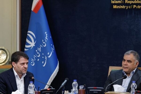 نقش تنظیم‌گری شرکت ملی صنایع پتروشیمی باید تقویت شود
