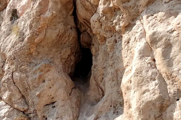 نقش برجسته تیمور از آثار باستانی در شهر کازرون 