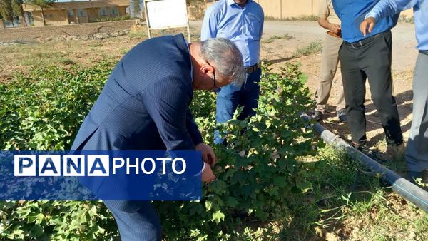 سفر معاون وزیر جهاد کشاورزی به کاشمر
