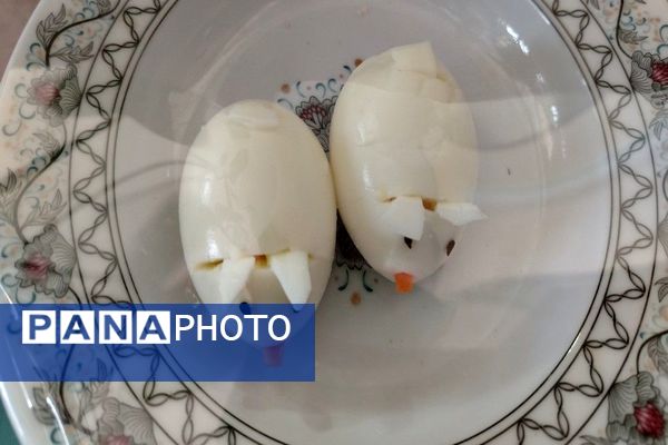 روز جهانی تخم مرغ در دبیرستان شهید مجید دهنوی نیشابور