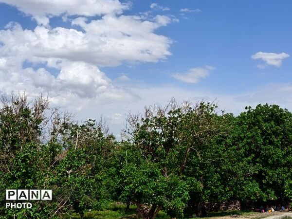 طبیعت در دل روستای برزنون،حال و هوای این دیار از قاب پانا