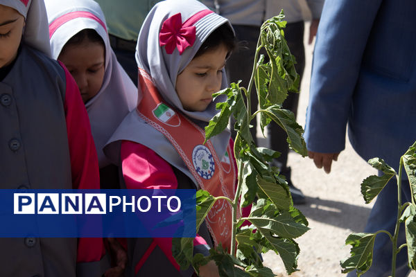 نهال‌های مهر در خاک دبستان ام‌السلمه جاجرم