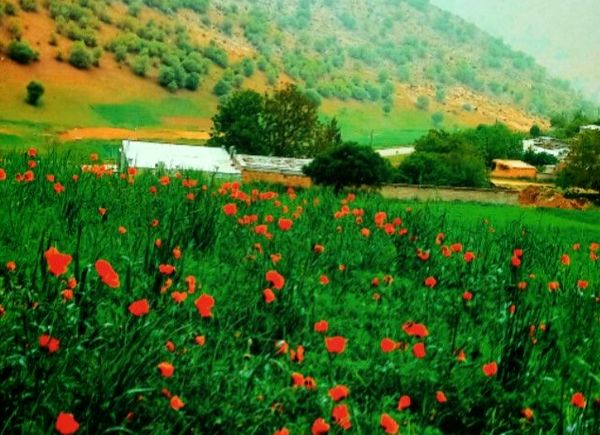 جاذبه‌های گردشگری روستای دوازده‌ امام 