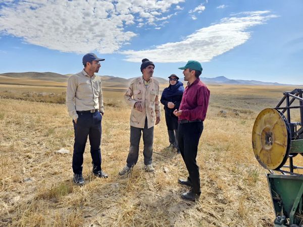بازدید برداشت گندم در شهرستان فاروج