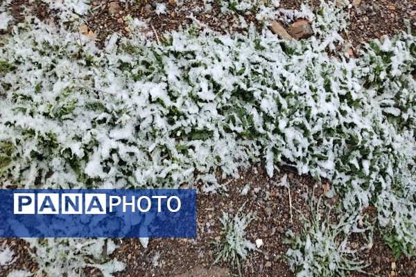 بارش باران و برف الهی در نوروز ۱۴۰۴ در شهر زیبای بار 