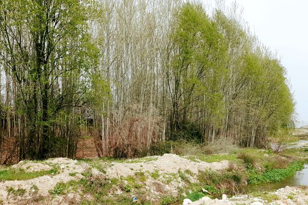 بهار، آغاز دوباره‌ی زندگی طبیعت 