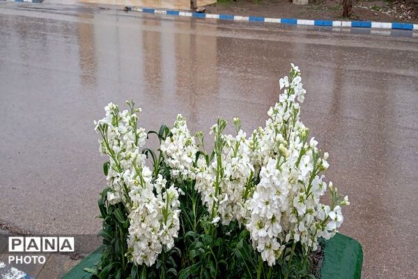  بارش باران در شهر بار 