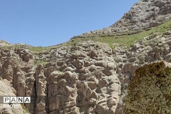 کوه های شهر بار ذخیره‌گاه گیاهان ارزشمند و کم نظیر دارویی 