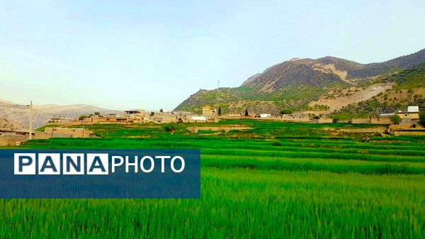 هنر در طبیعت نهفته است