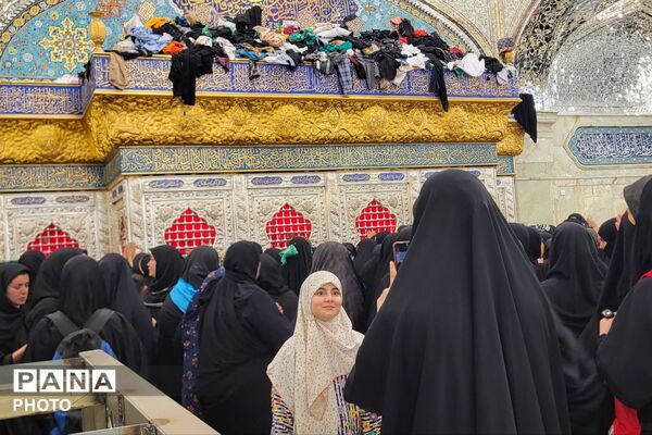 حس و حال دلدادگان حسینی در مسیر نجف و کربلا
