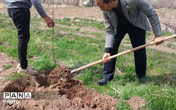 مراسم کاشت نهال در اردوگاه شهید رجایی شهرستان نیشابور