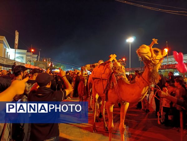 کاروان نمادین اسرای کربلا‌ازمیدان‌آستانه‌ی قم‌به‌سمت‌حرم‌حضرت‌معصومه"س"