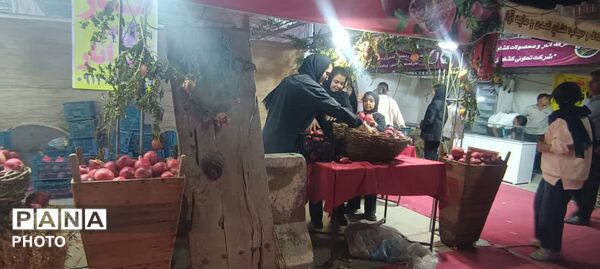 جشنواره انار تفت
