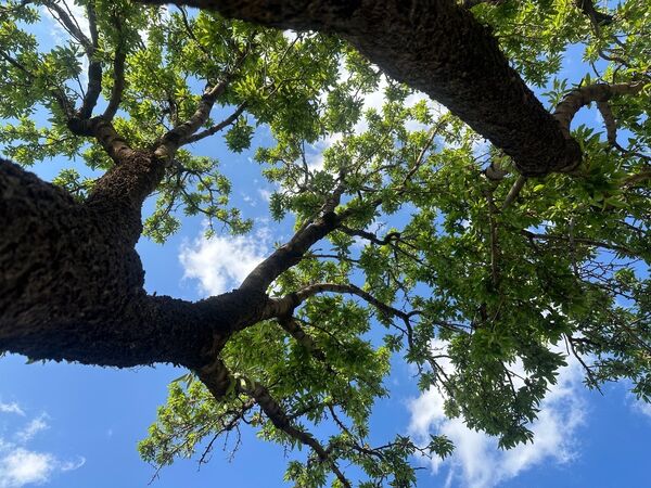 طبیعت هم با آمدن بهار زیبا شد 