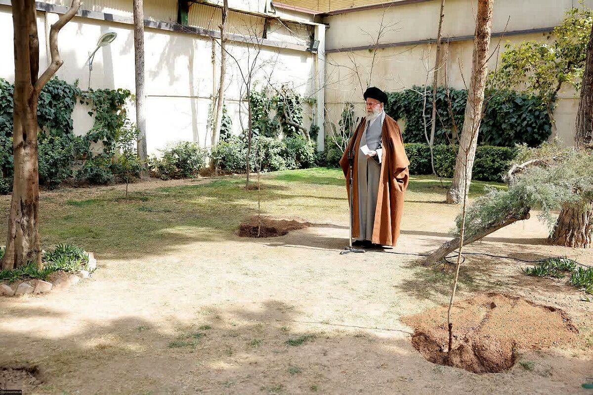 او نهال می‌کاشت برای زندگی، و رفت تا زمین از بی‌پناهی او بسوزد
