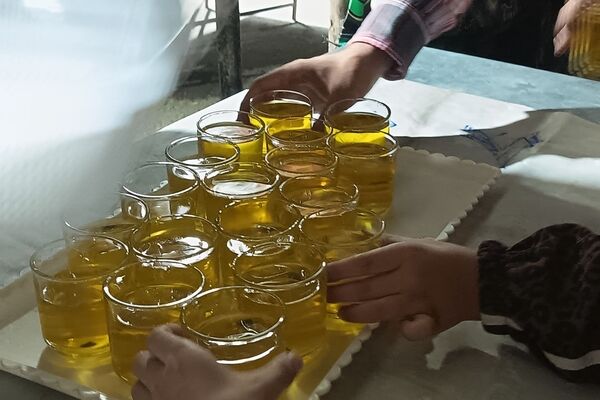 روایت خدمت در بلوار فضل نیشابور