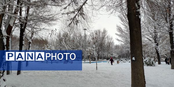 سکوت برفی بروجن، قلب شهر را به تپش انداخت