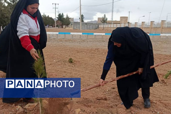 کاشت نهال در  شهر ایزدخواست به‌مناسبت هفته درختکاری