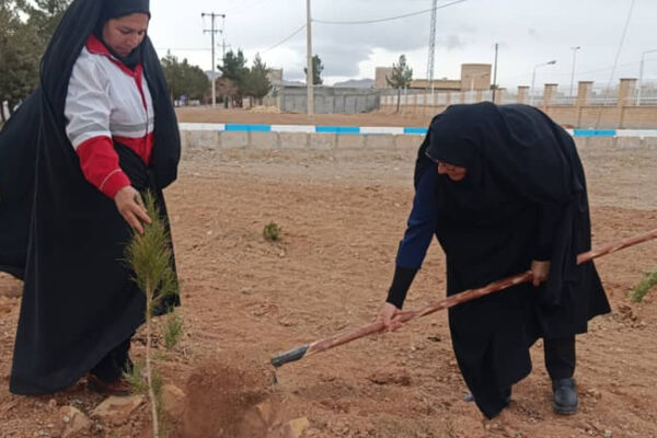 کاشت نهال در  شهر ایزدخواست به‌مناسبت هفته درختکاری