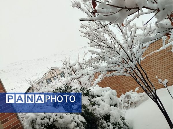 رقص دانه‌های برف در آسمان خاتم؛ شور و هیجان کودکان