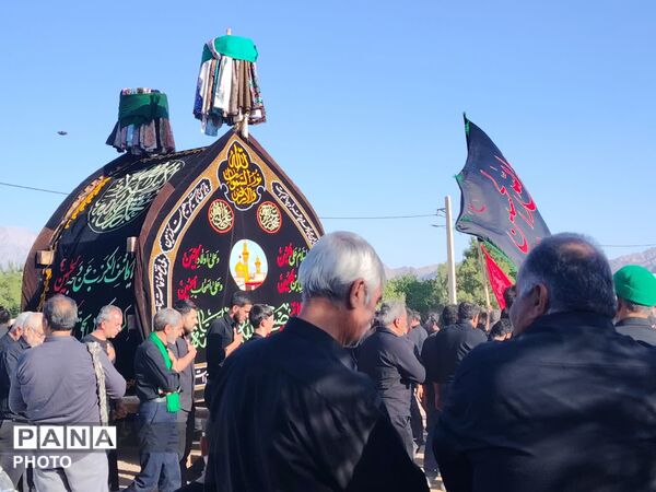 نخل‌برداری روز عاشورا در روستای صالح آباد شهرستان تفت