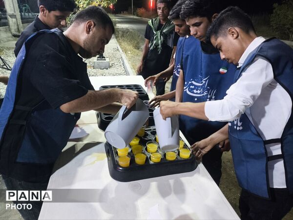 «سندرک» در سوگ جاماندگان اربعین حسینی