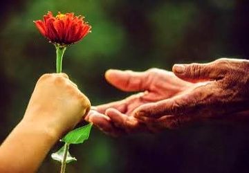 اختتامیه پویش دریای مهربانی 