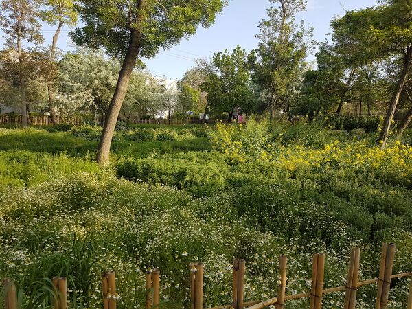اردیبهشت زیبای باغ گیاهشناسی مشهد