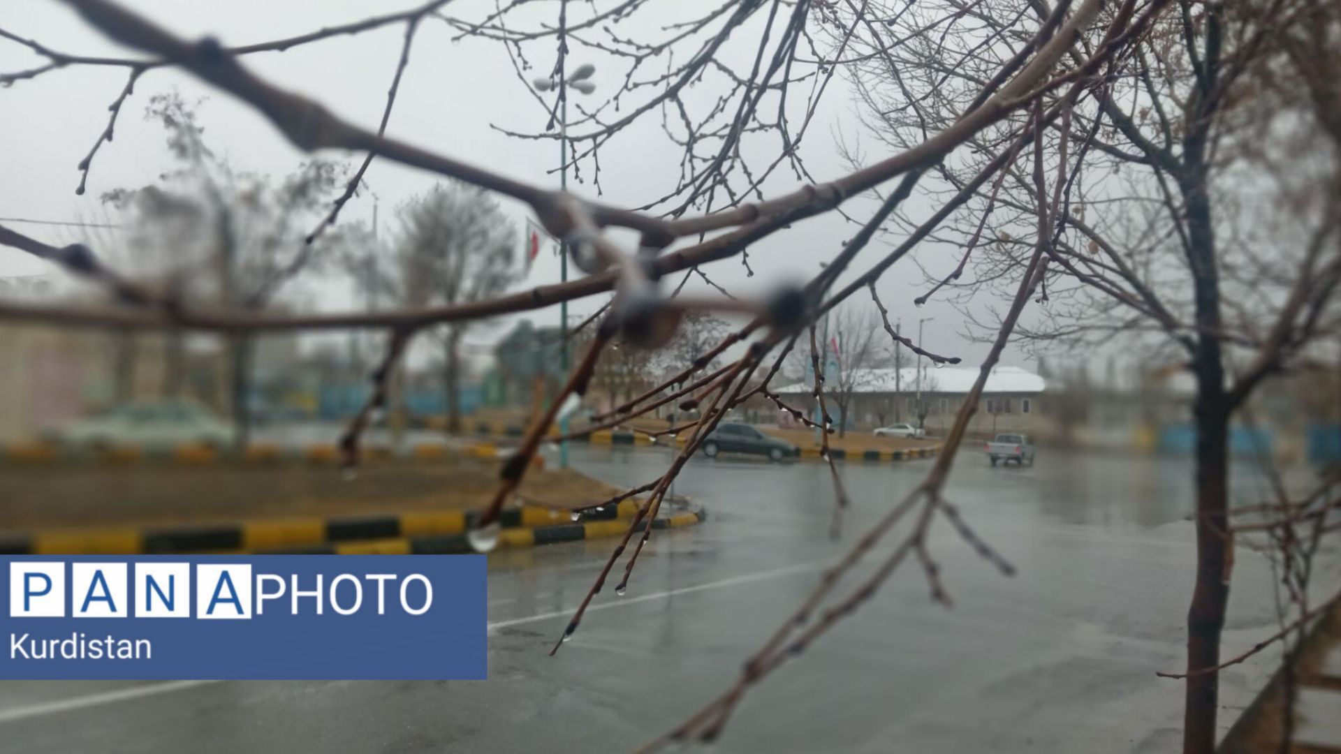 باران؛ دهگلان زیر چتر رحمت الهی