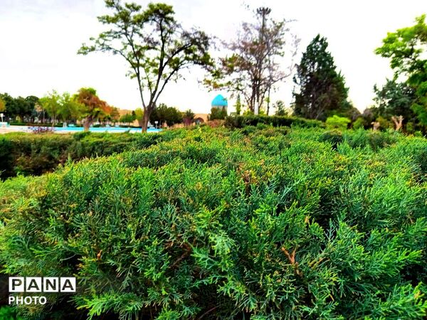 بهار مهمان امامزاده سید حمزه