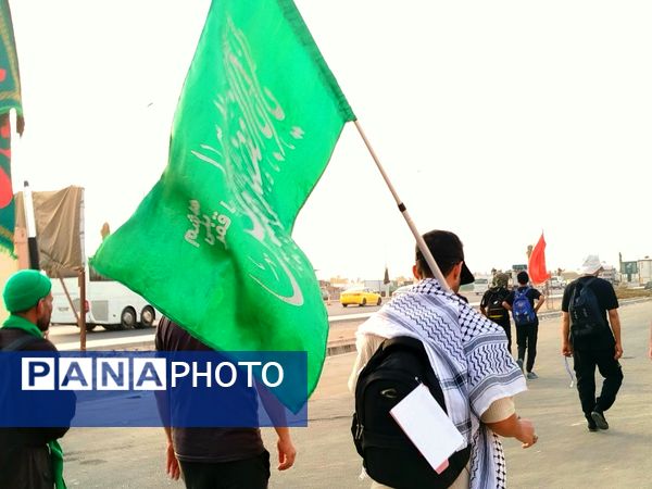 میلیون‌ها گام عاشقی؛ روایت حماسه اربعین حسینی از نجف تا کربلا