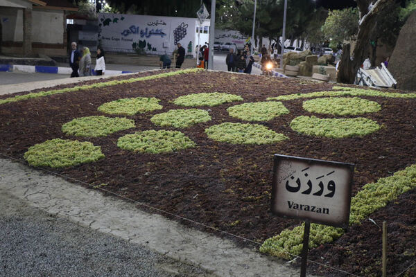 هشتمین جشنواره انگور ارومیه