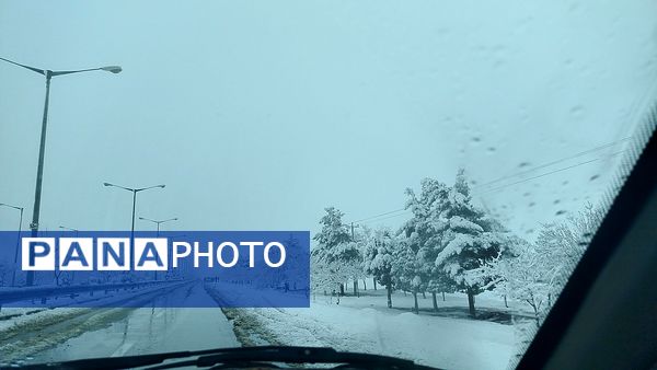 جلوه های زیبا از بارش برف در شهرستان نیشابور 