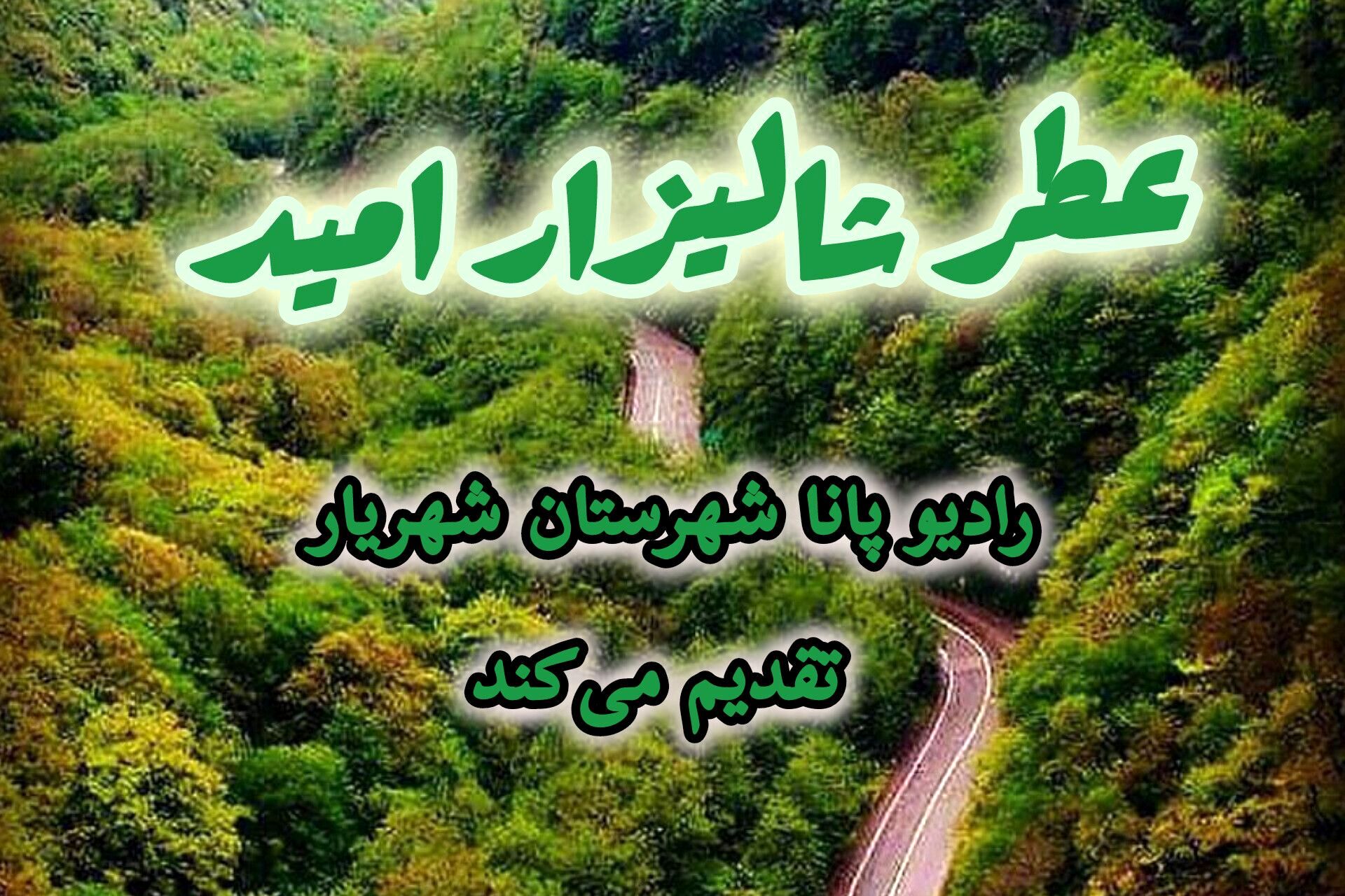 عطر شالیزار امید 