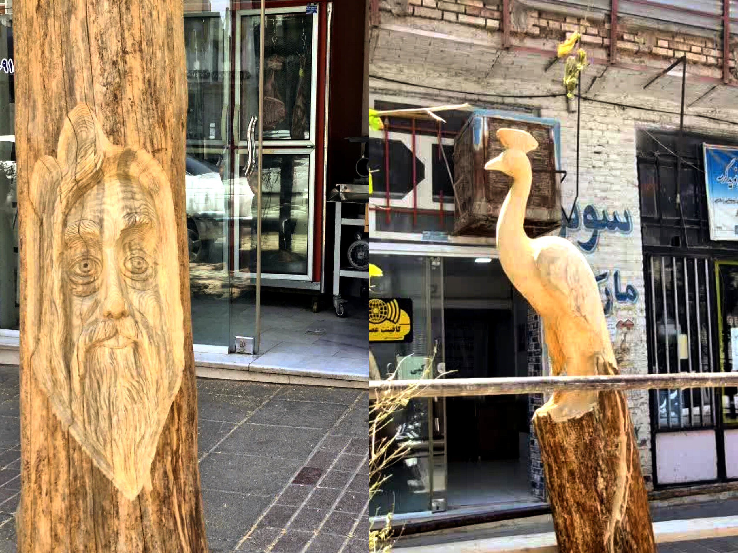 طرح زیباسازی شهری با جان بخشیدن به درختان در گرمه 