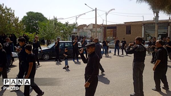 نخل گردانی در روستای فدافن،تاسوعایی به یادگار از کربلا 