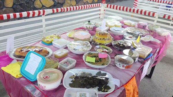 برگزاری اردوی درون مدرسه‌ای و جشنواره غذا در دبستان شاهد تحقیقی ناحیه ۶