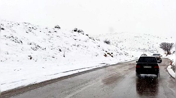 صبحی که خورشید جایش را به برف داد