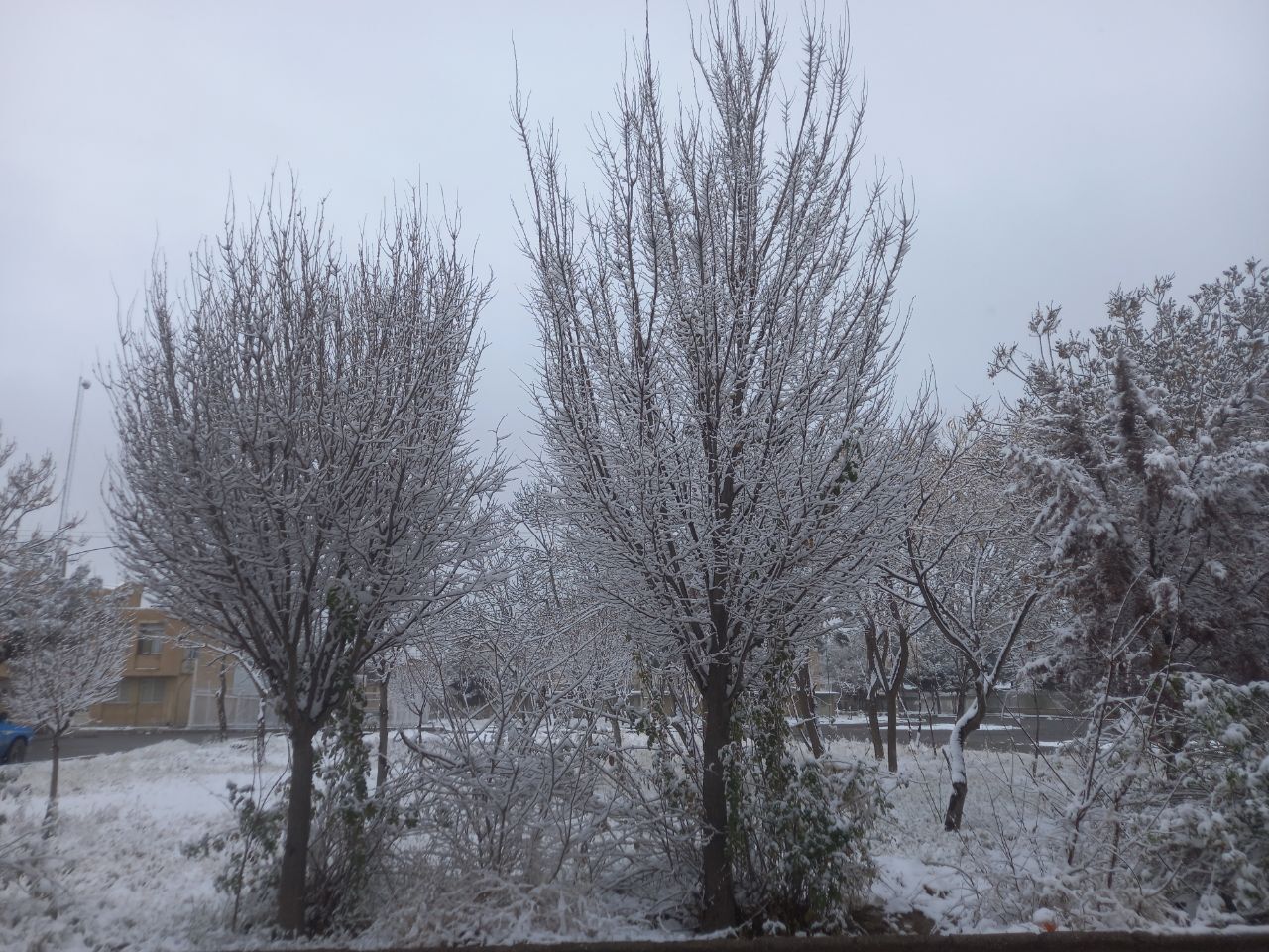 بارش برف لرستان؛ فصل جدیدی از زیبایی و چالش*