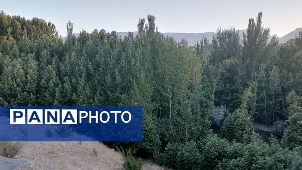 باغ بهادران؛ بهشت کوچکی در اصفهان