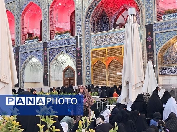 کبوتر حرم مشهد مقدس