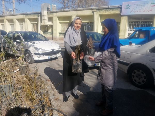 کاشت ۱۵۰ نهال در مدارس ملارد برای ایران سرسبز