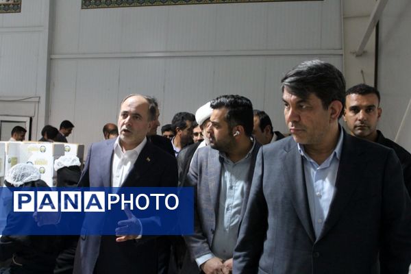 از شنیدن صدای کشاورزان «طرز» تا بازدید از زنجیره ارزش خرمای شرق کرمان