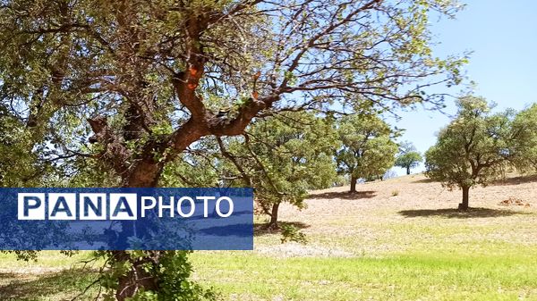 مسیر قارون تا قلعه مدرسه در واپسین لحظه‌های بهار