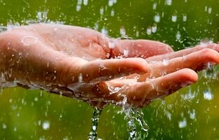 سالی 300 میلیارد مترمکعب آب باران هدر می رود