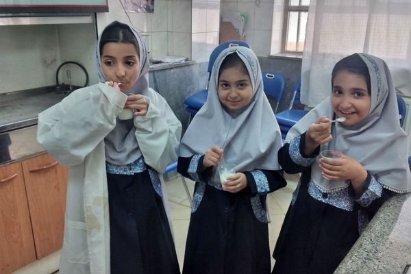 مزه شیرین علم، بستنی علمی