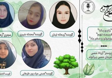 داستان کودکانه برگ کوچولو و سفر باد 