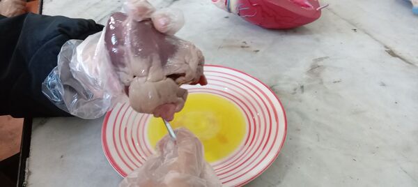 برگزاری کارگاه آموزشی تشریح قلب در آموزشگاه دخترانه عصمت ملارد